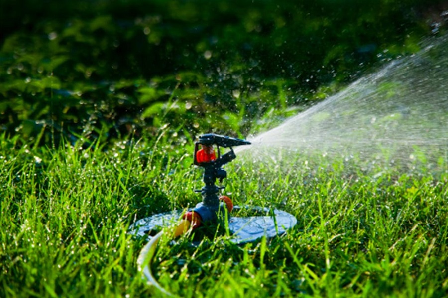 Sprinkler System