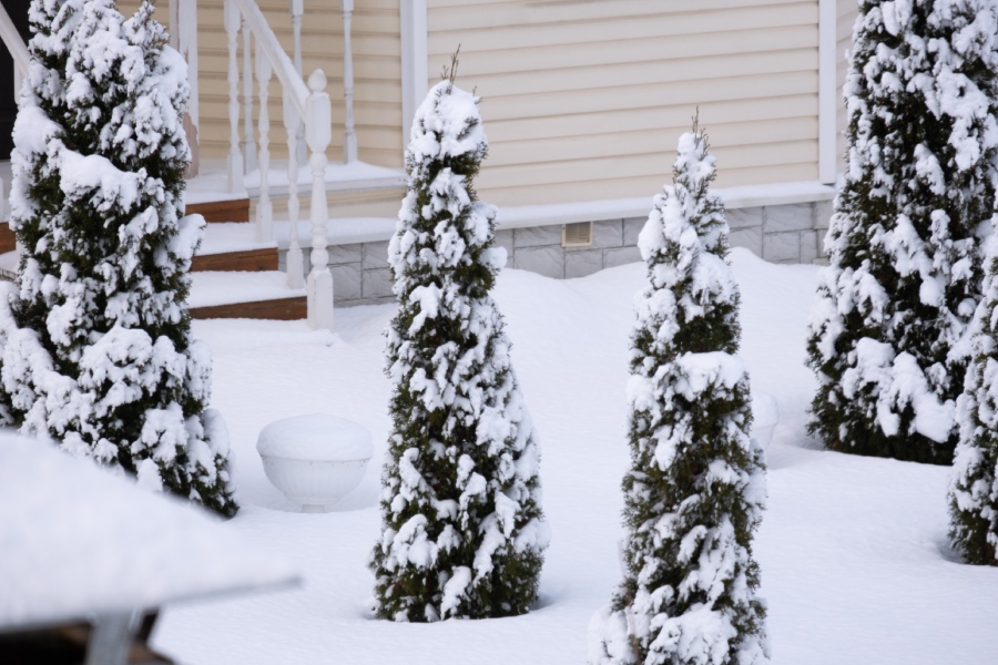 Commercial and Residential Winter Maintenance and Lawn Care