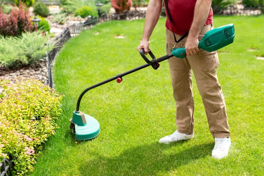 Affordable Lawn Care Service Torrance, CA
