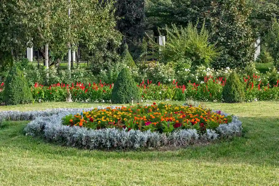 Expert Landscape Design Torrance, CA