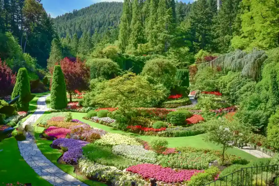 How To Choose Plants That Complement Your Landscape Design Torrance, CA