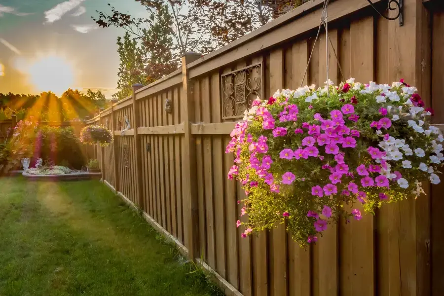 How To Choose Plants That Complement Your Landscape Design in Torrance, CA