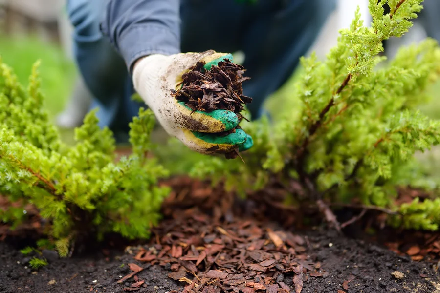 How To Prevent Mulch From Decomposing Too Quickly in Torrance, CA