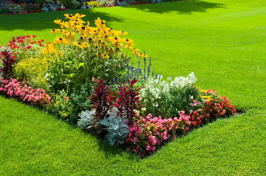 Importance Of Drainage Solutions In Landscape Design Torrance, CA