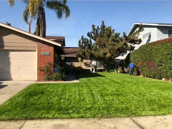 Lawn Care Service
