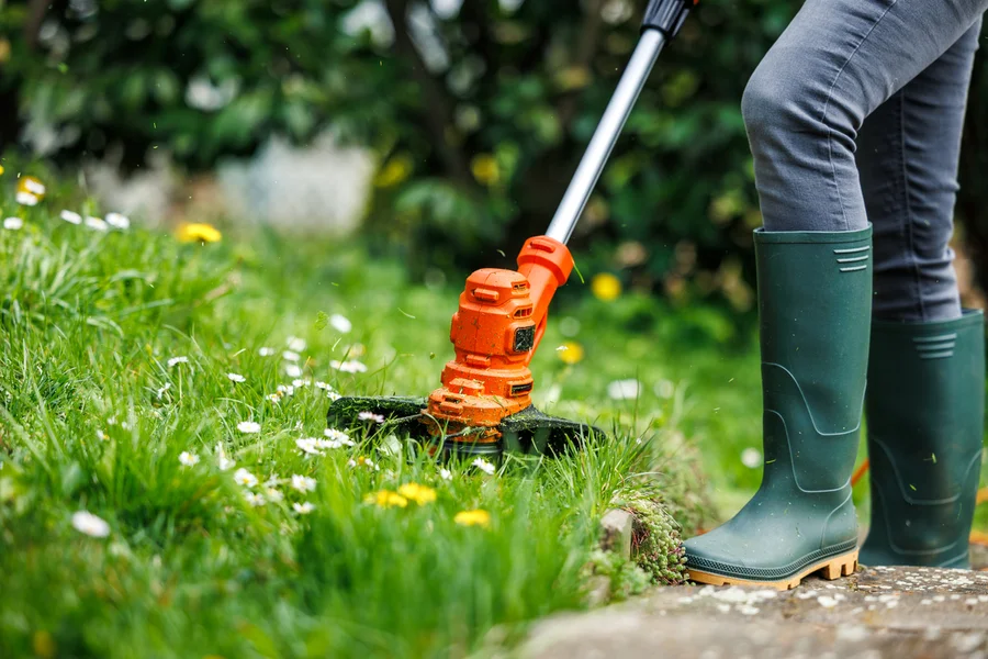 Local Lawn Care Service Torrance, CA