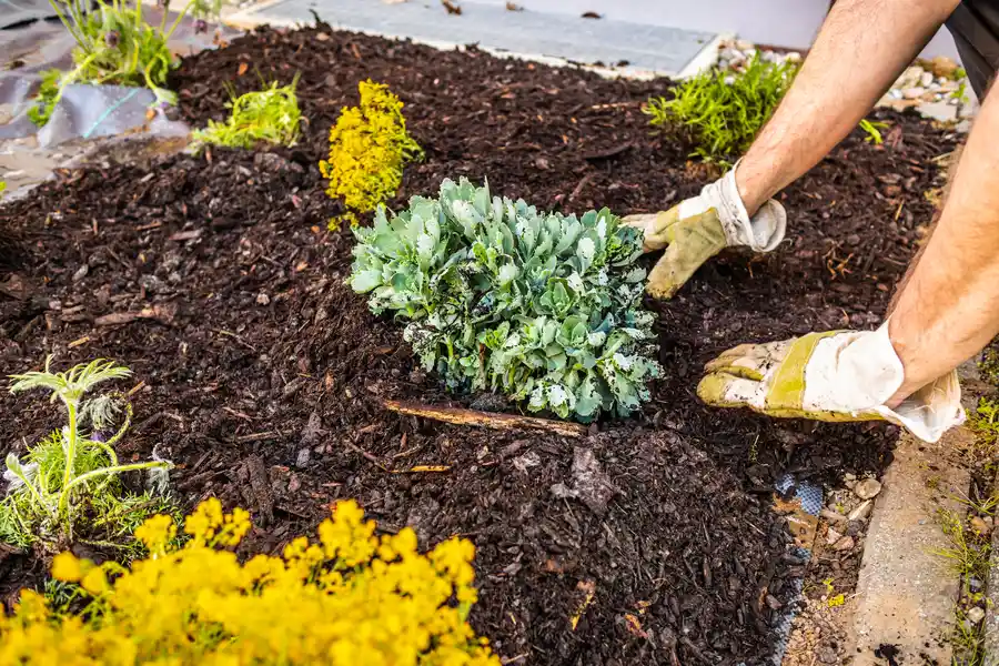 Professional Mulching Service Torrance, CA
