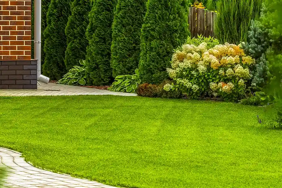 Superior Lawn Care Service Torrance, CA