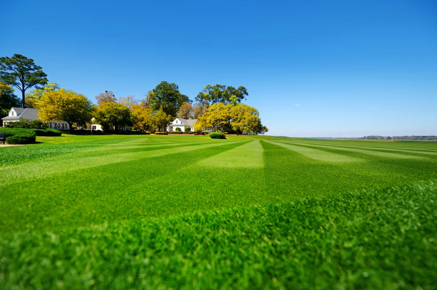 The Importance Of Aeration And Fertilization In Lawn Care in Torrance, CA