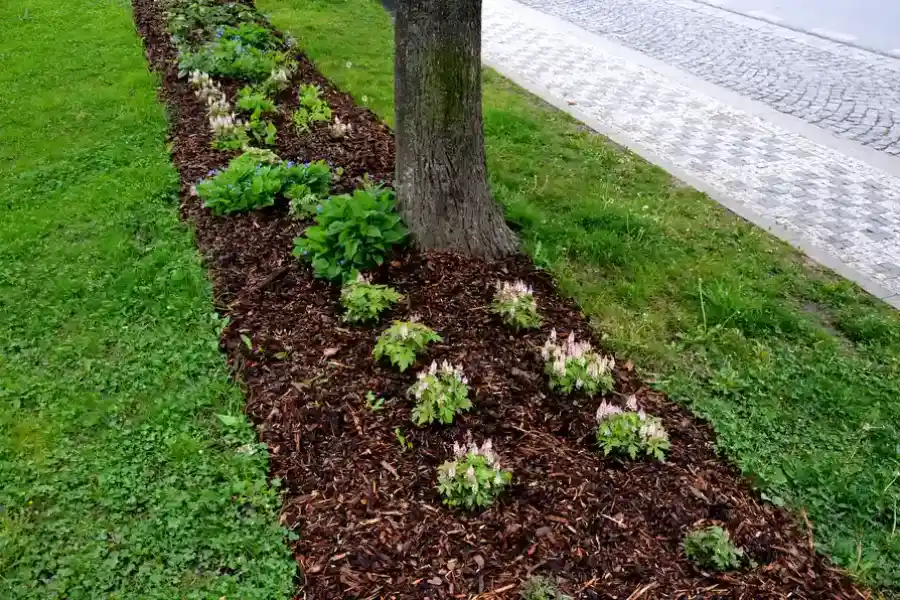 Top-rated Mulching Service Torrance, CA