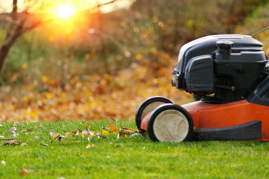 Understanding The Role Of Soil Health In Lawn Care Success in Torrance, CA